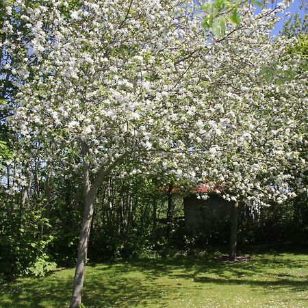 Countryside Eco Natuurhuisjes Ee Dış mekan fotoğraf