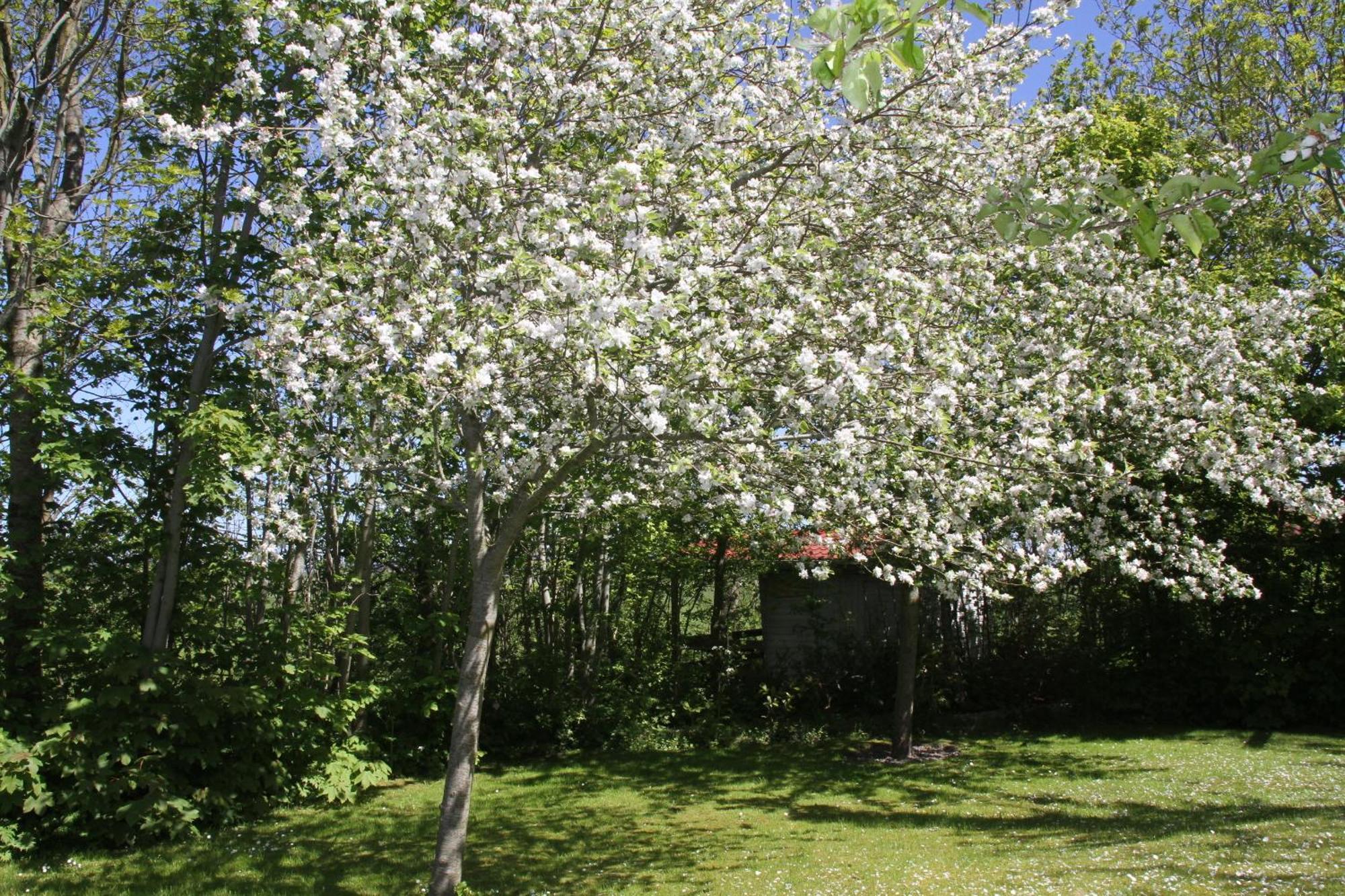 Countryside Eco Natuurhuisjes Ee Dış mekan fotoğraf
