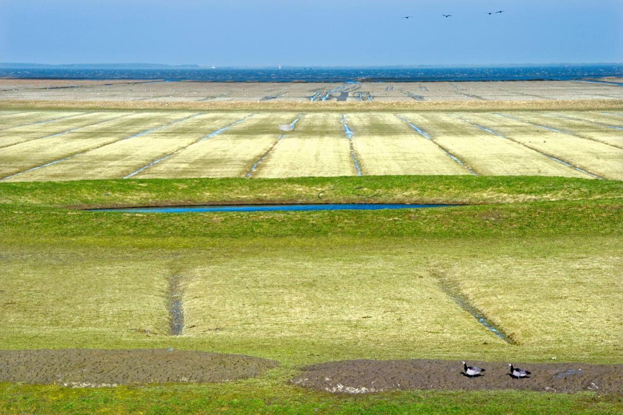 Countryside Eco Natuurhuisjes Ee Dış mekan fotoğraf