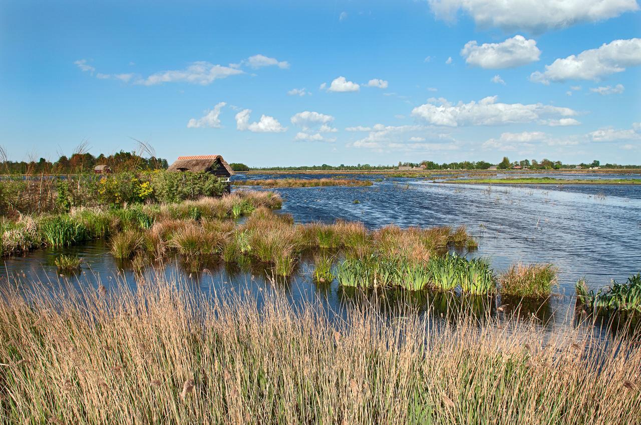 Countryside Eco Natuurhuisjes Ee Dış mekan fotoğraf