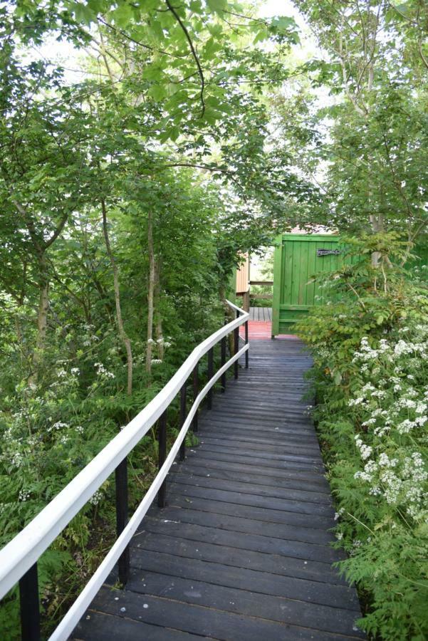 Countryside Eco Natuurhuisjes Ee Dış mekan fotoğraf